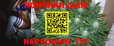 спиды Моздок
