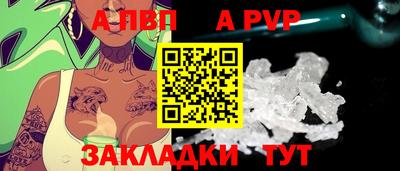 спиды Моздок