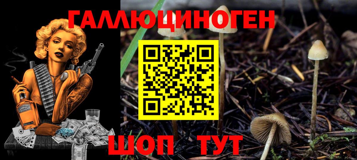Галлюциногенные грибы мухоморы Елабуга