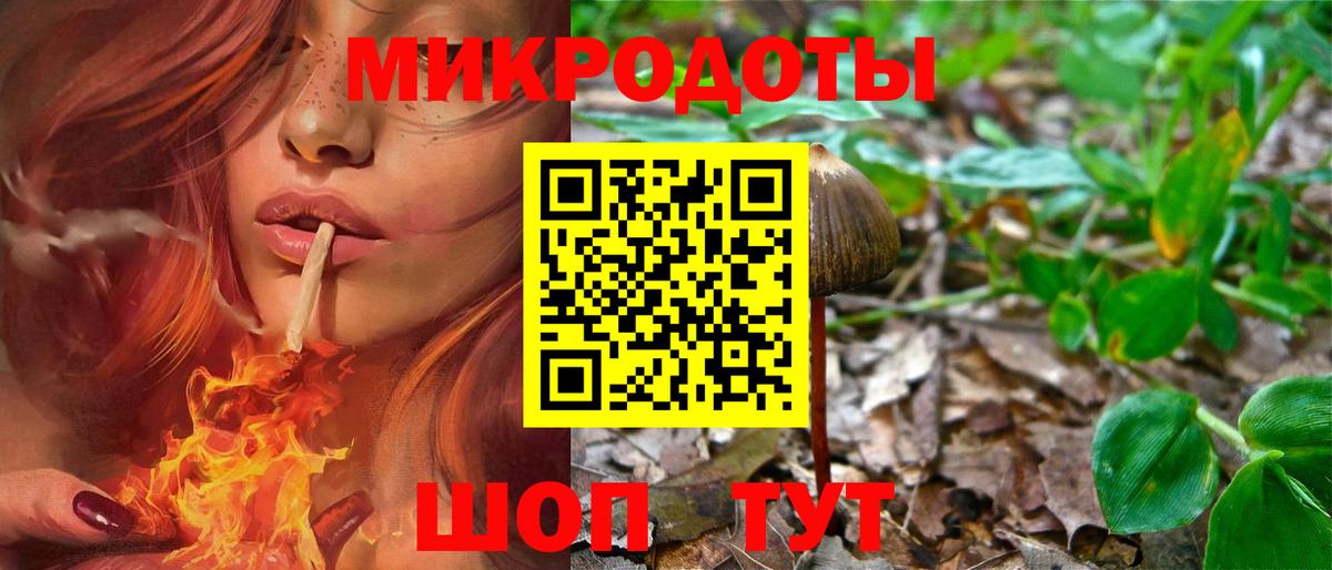 Елабуга  Галлюциногенные грибы мицелий  Вход с VPN 
